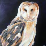 Barn Owl acrylic